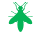 api